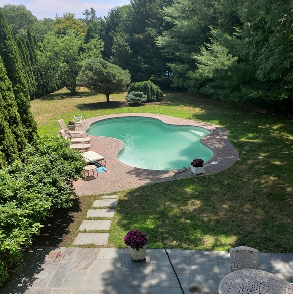 Meet your Posher, Diana - Picture 7 of 10